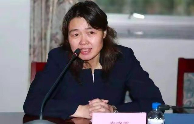 这三部影片恰好代表了她作为演员的不同面向:有尝试创新的戏曲片,有历史厚重的古装片,也有让她成为一代玉女偶像的琼瑶浪漫爱情片。